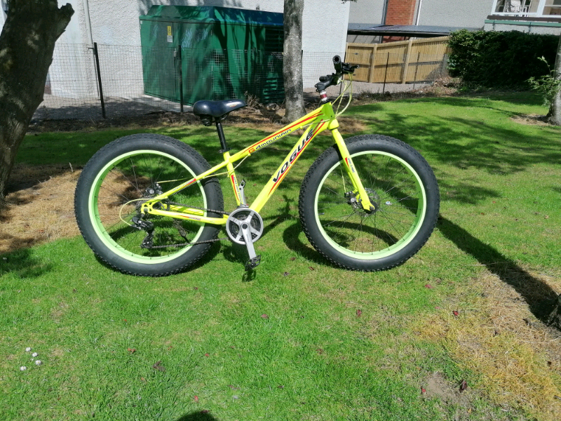 gumtree fat bike